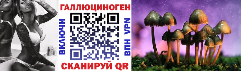 купить наркотик  Починок  Галлюциногенные грибы прущие грибы 
